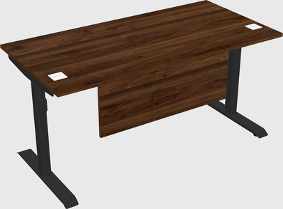 Dual motor electric desk