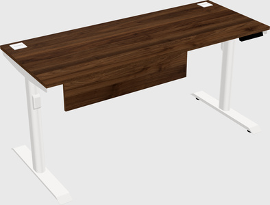 Dual motor electric desk