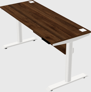 Dual motor electric desk