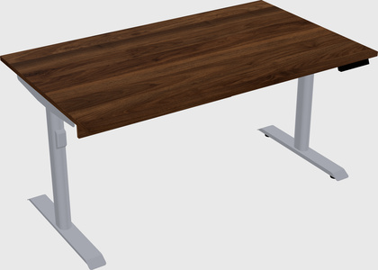 Dual motor electric desk