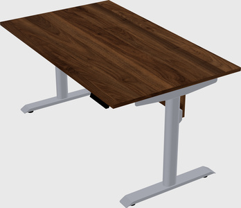 Dual motor electric desk