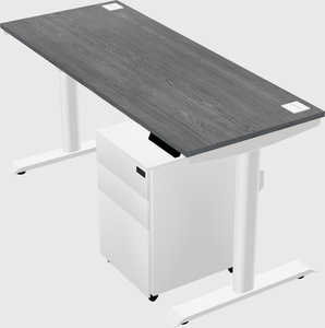 Dual motor electric desk