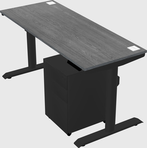 Dual motor electric desk