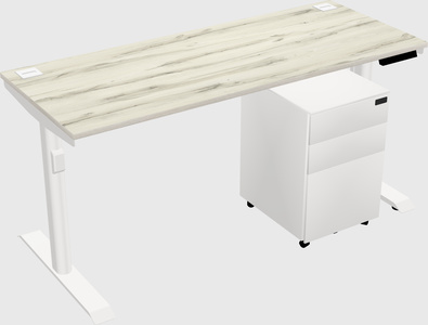 Dual Motor Electric Desk