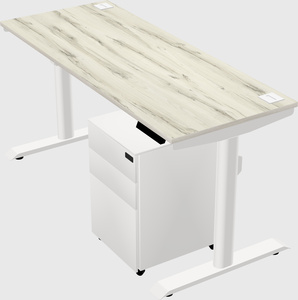 Dual motor electric desk