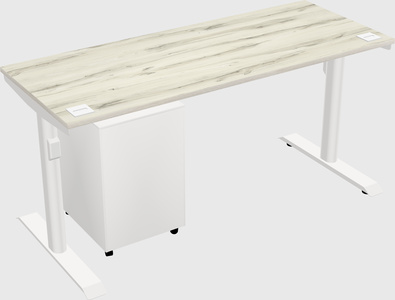 Dual motor electric desk