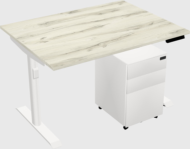 Dual Motor Electric Desk