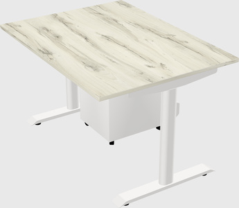 Dual motor electric desk