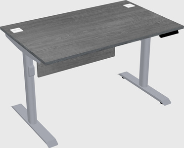 Dual motor electric desk
