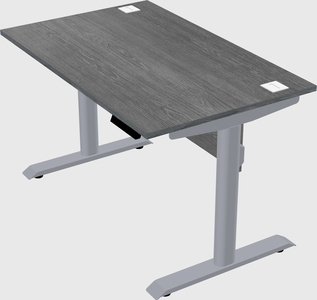 Dual motor electric desk