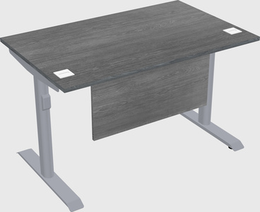 Dual motor electric desk