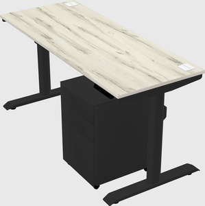 Dual motor electric desk