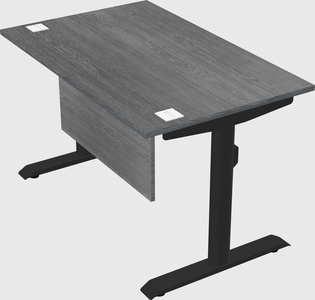 Dual motor electric desk