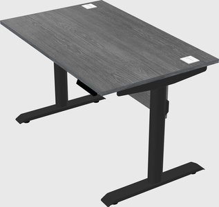 Dual motor electric desk