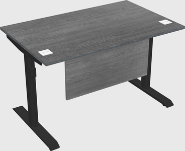 Dual motor electric desk