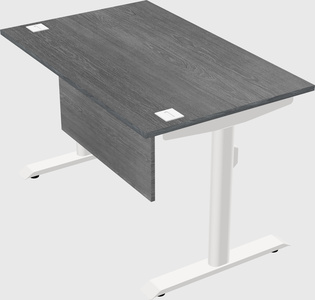 Dual motor electric desk