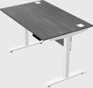 Dual motor electric desk