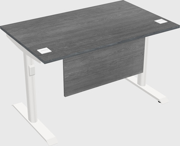 Dual motor electric desk