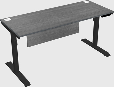 Dual motor electric desk