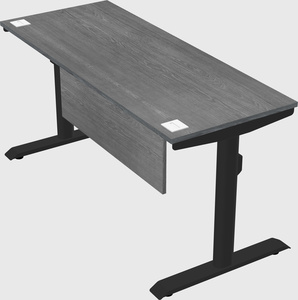 Dual motor electric desk