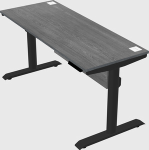 Dual motor electric desk