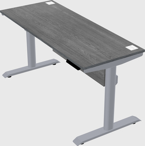 Dual motor electric desk