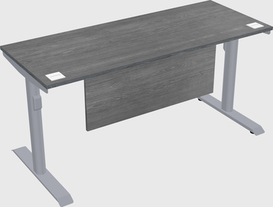 Dual motor electric desk