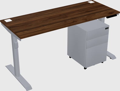 Dual motor electric desk