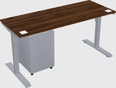 Dual motor electric desk
