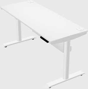 Dual motor electric desk