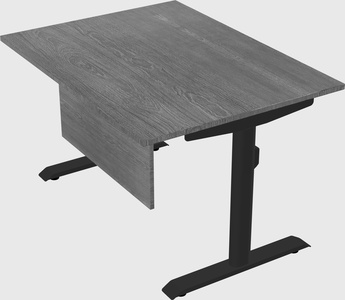 Dual motor electric desk