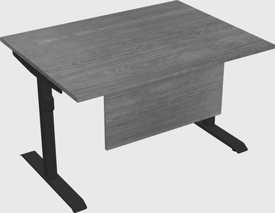 Dual motor electric desk