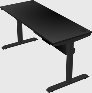 Dual motor electric desk