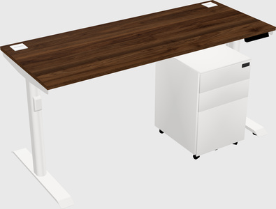 Dual Motor Electric Desk