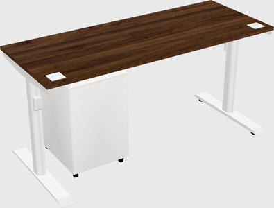 Dual motor electric desk