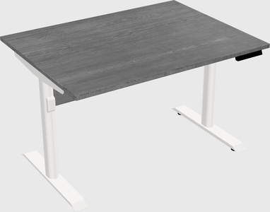 Dual motor electric desk