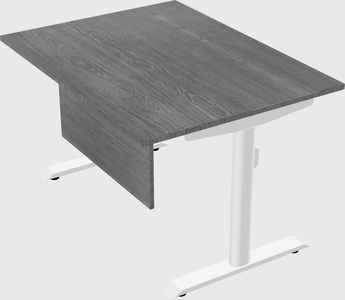 Dual motor electric desk
