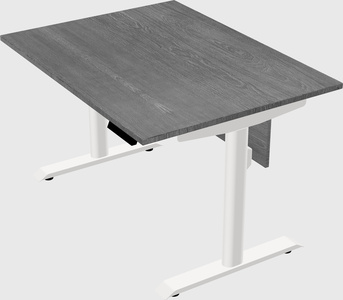 Dual motor electric desk