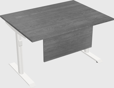 Dual motor electric desk