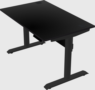 Dual motor electric desk