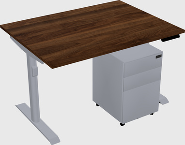 Dual motor electric desk
