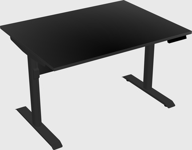 Dual motor electric desk