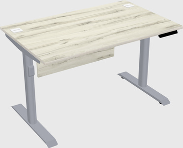 Dual motor electric desk