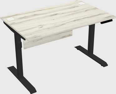 Dual motor electric desk