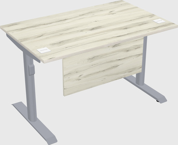 Dual motor electric desk