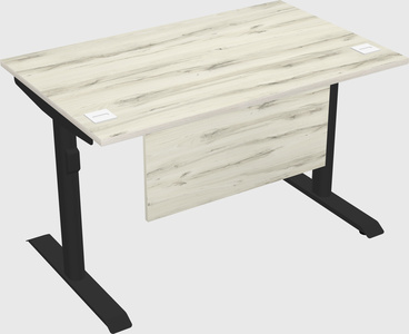 Dual motor electric desk
