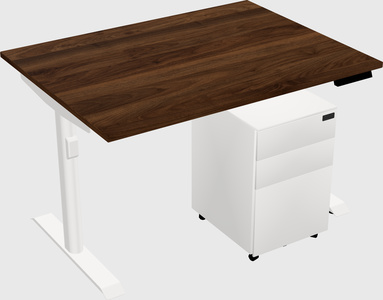Dual motor electric desk