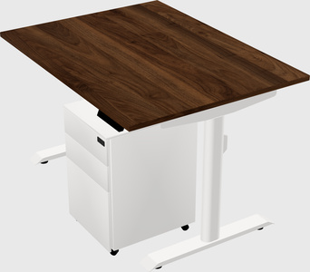 Dual motor electric desk
