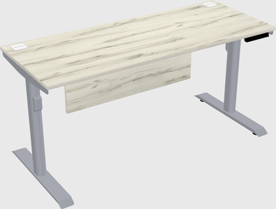 Dual motor electric desk