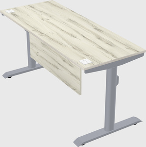 Dual motor electric desk